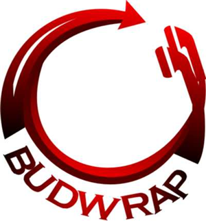 Logo Design by piezare