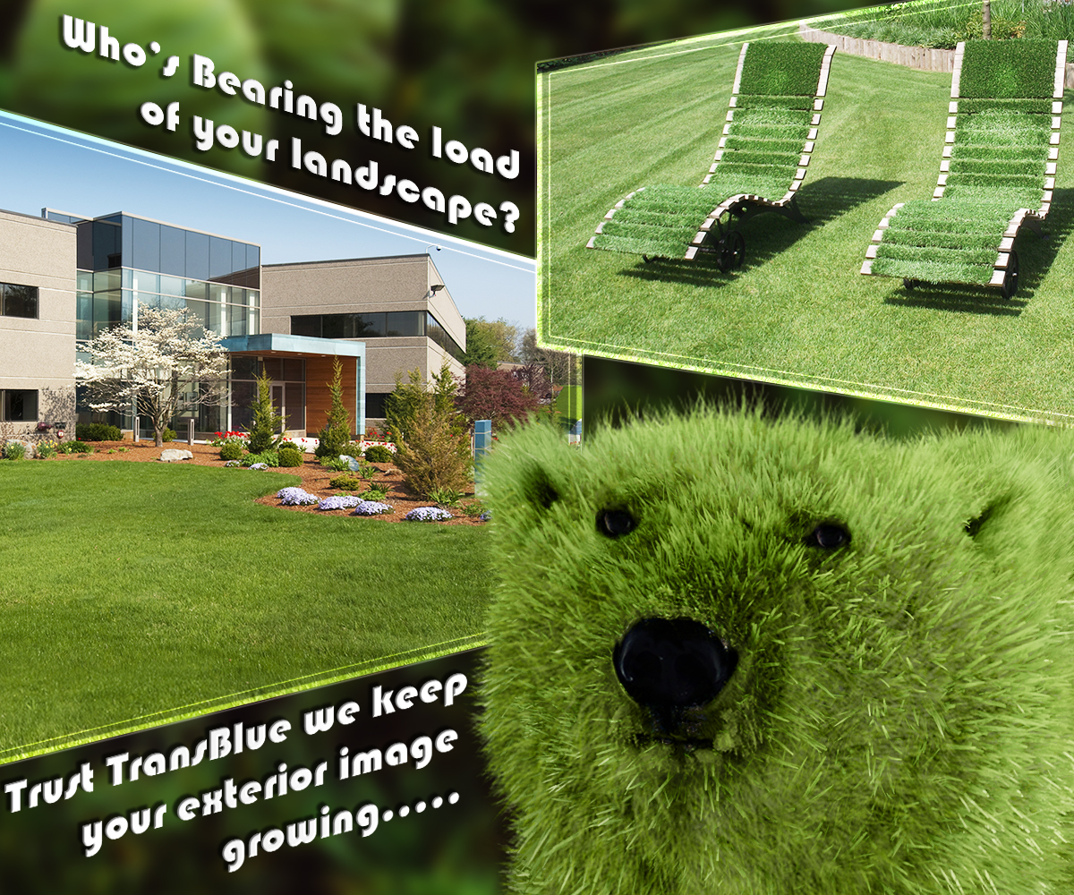 Photoshop-Design von silvestrecajigan für dieses Projekt | Design #10714586