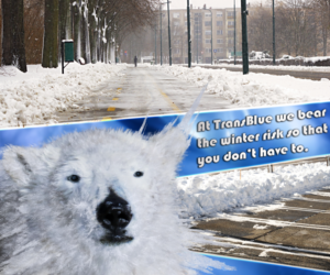 Photoshop Design by silvestrecajigan for this project | Design: #10737608