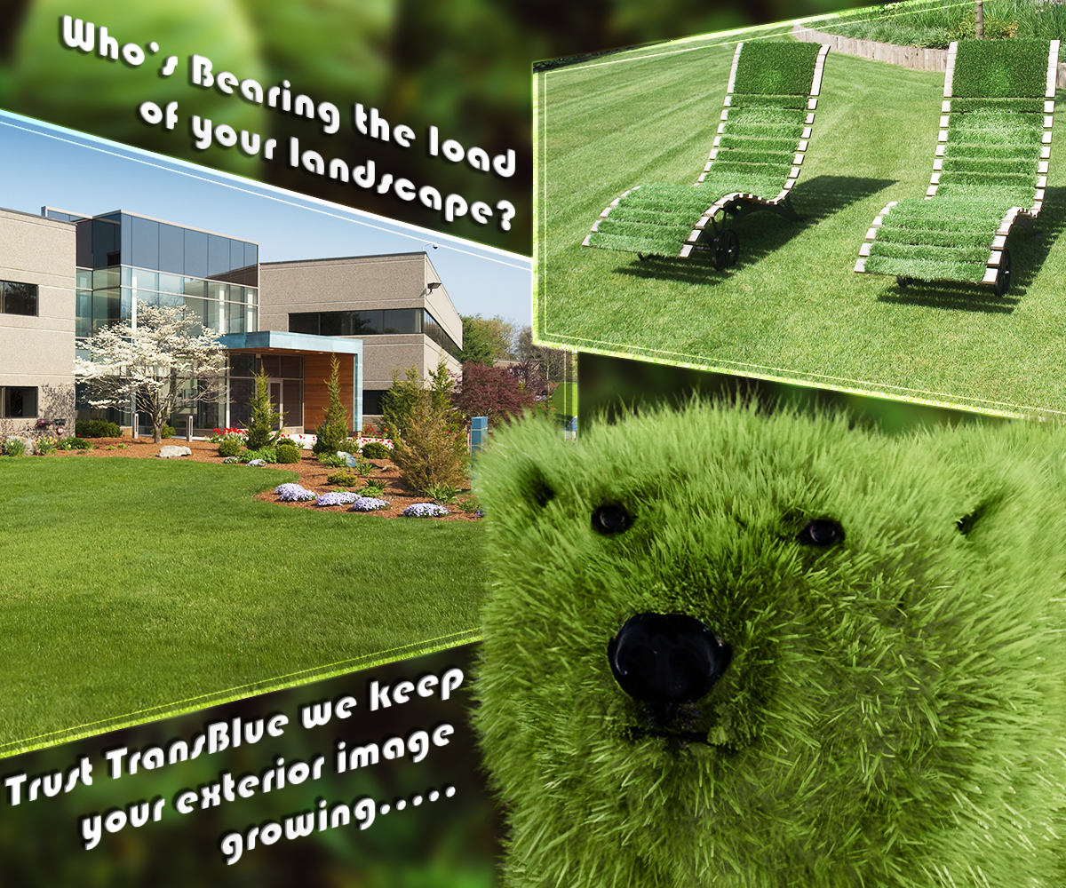 Diseño de Photoshop por silvestrecajigan para este proyecto | Diseño #10803527