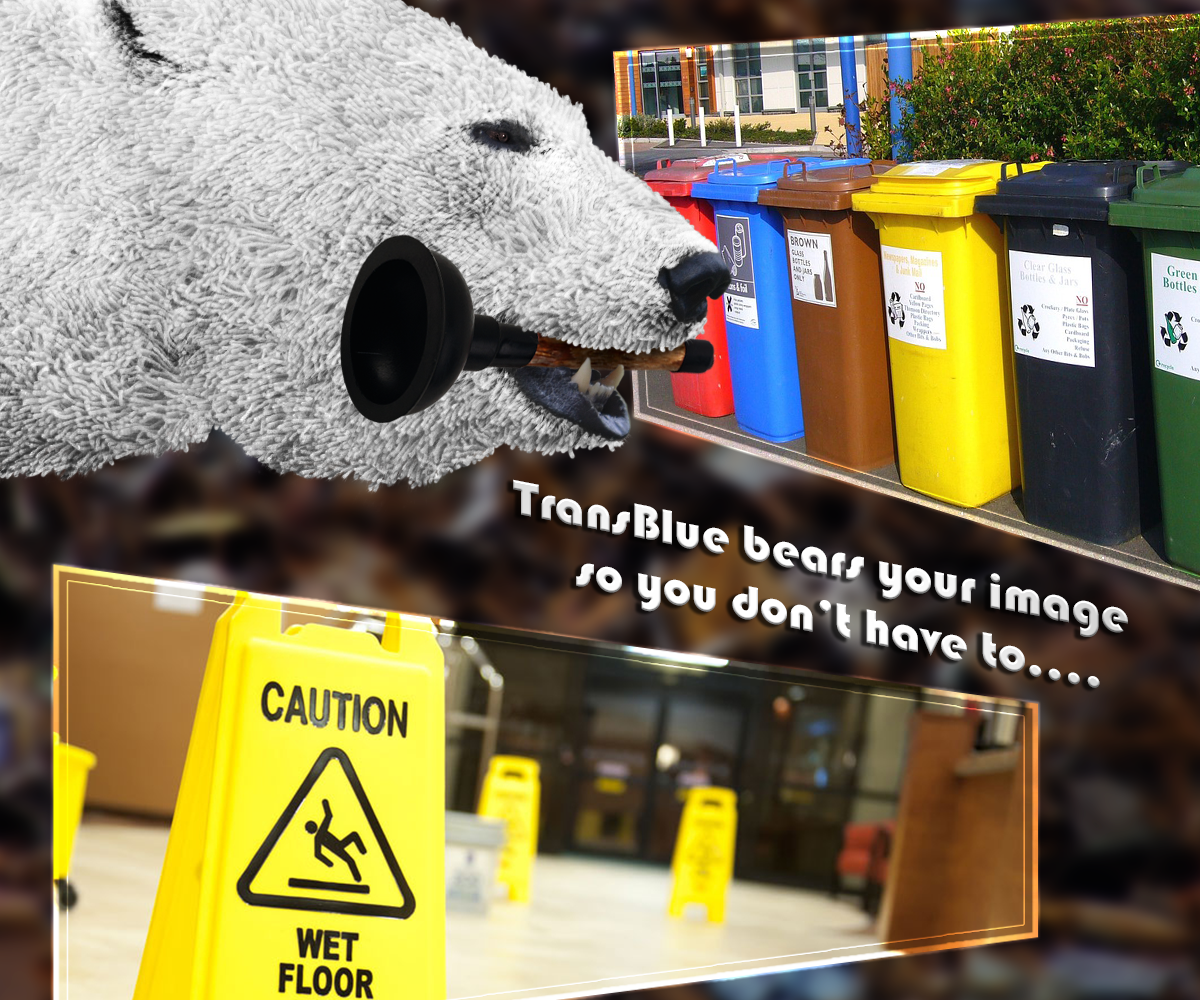 Photoshop-Design von silvestrecajigan für dieses Projekt | Design #10804463