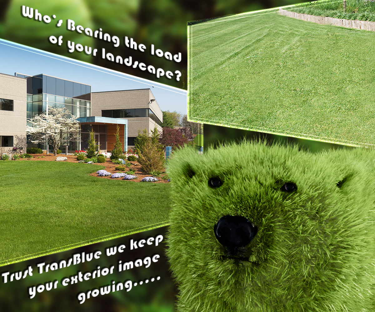 Photoshop-Design von silvestrecajigan für dieses Projekt | Design #10806344