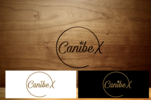 Logo Design by artofni16