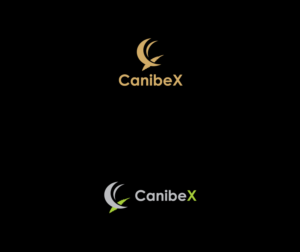 Logo Design by bijuak