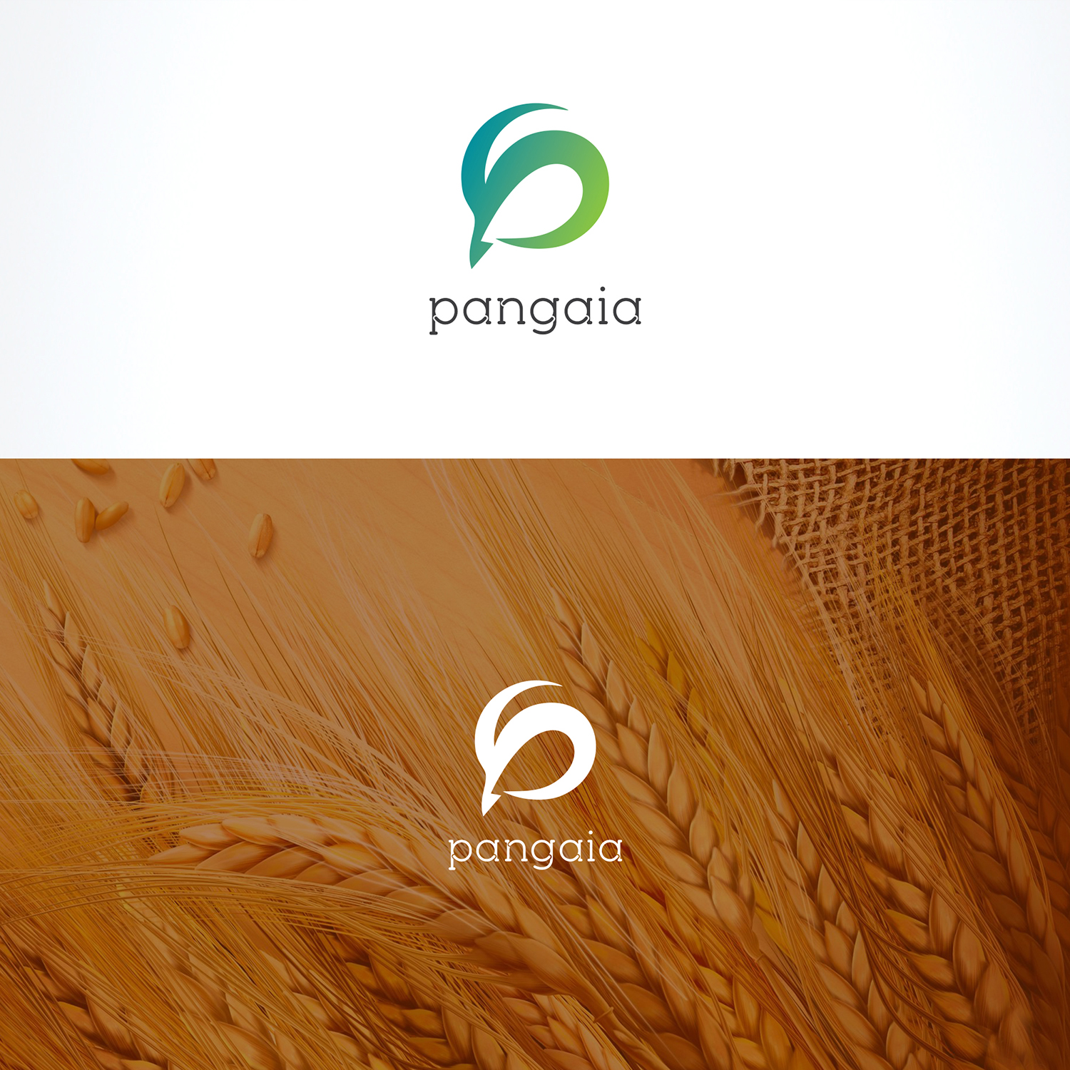 Design de Logo par Ronak Raval pour ce projet | Design #10902830