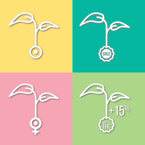 Icon Design by Redz Army