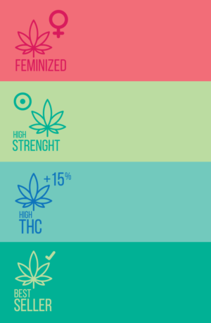 Icon Design by Redz Army for Gorilla Inc LTD | Design: #10770323