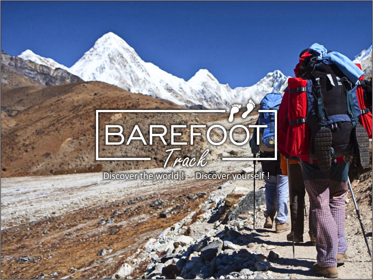 Logo Design by New STAR Graphics for QBS BVBA | Design #10669832