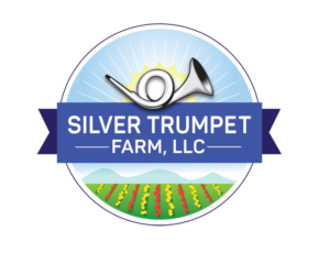 Logo Design by pi128