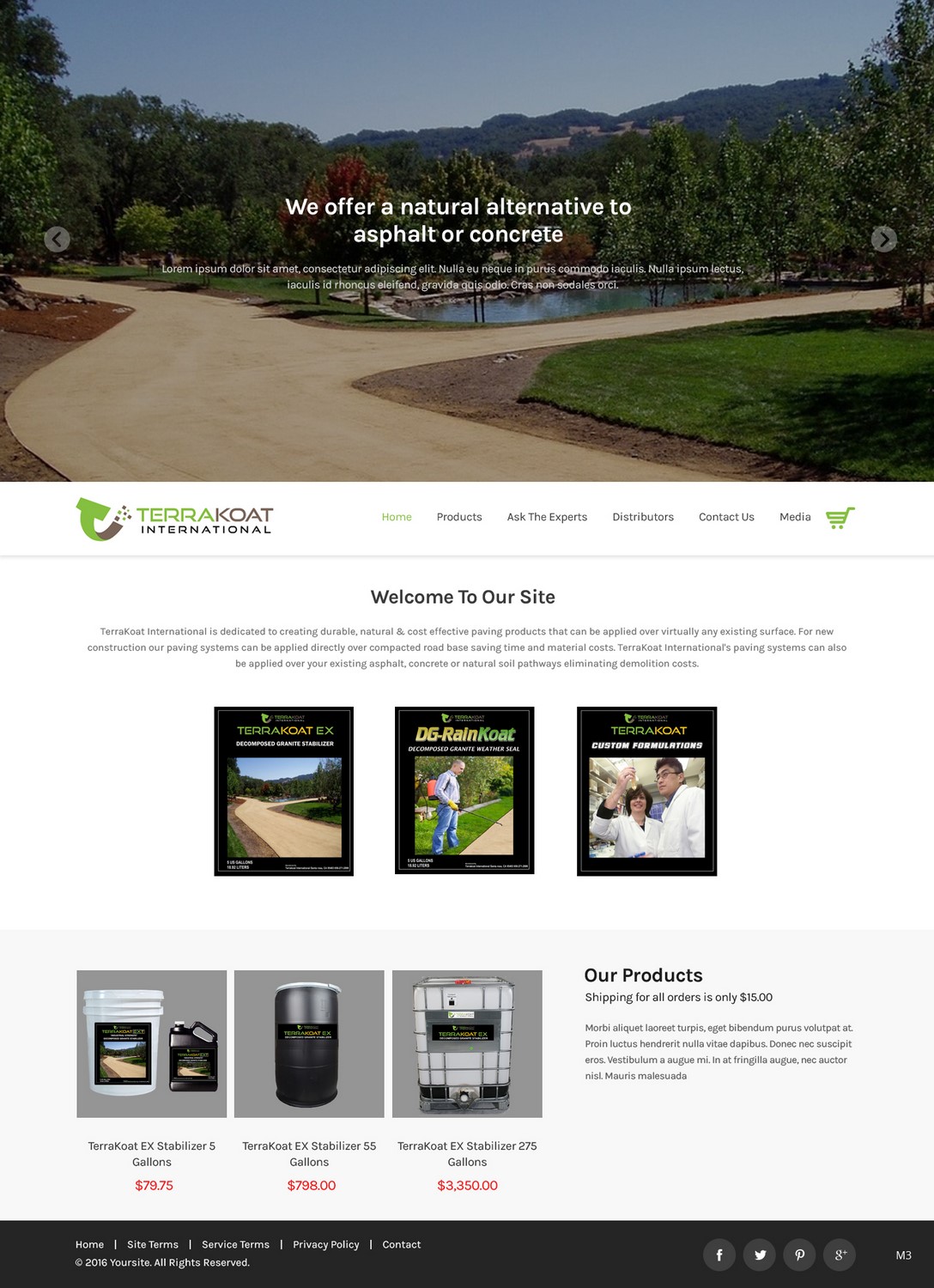Web Design by pb for TerraKoat International | Design #10674754