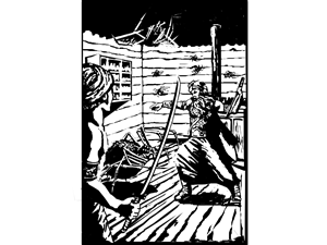 Novel Illustrations