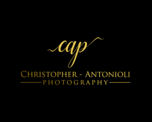 Logo Design by OWL