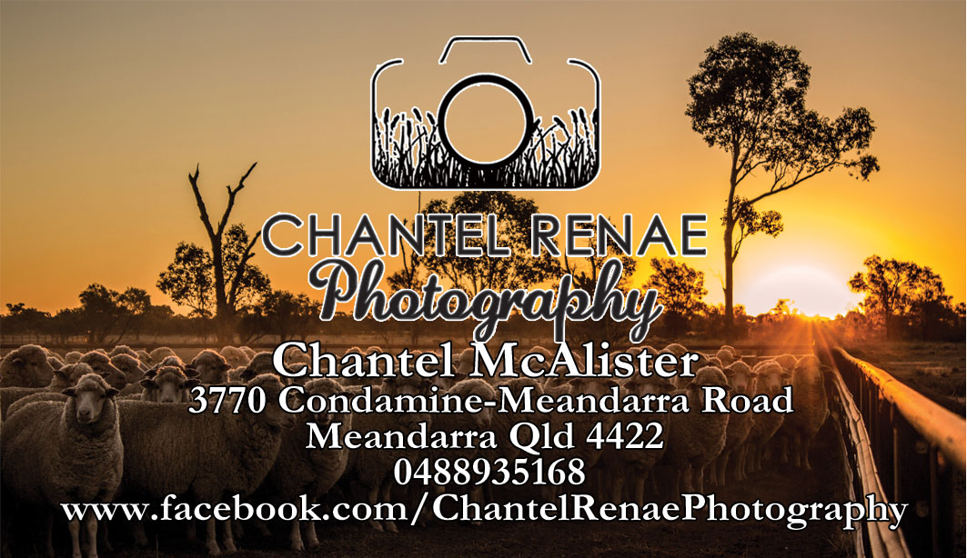 Business Card Design by  Sarah W for Chantel Renae Photographg | Design #2258019