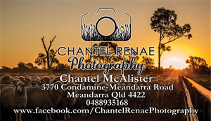 Business Card Design by  Sarah W for Chantel Renae Photographg | Design: #2258019