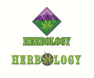 Logo Design by Hot Rod