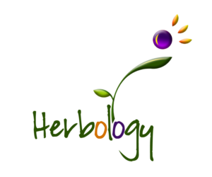 Logo Design by E.Dorranipour for this project | Design: #10714243