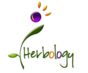 Logo Design by E.Dorranipour for this project | Design: #10714244