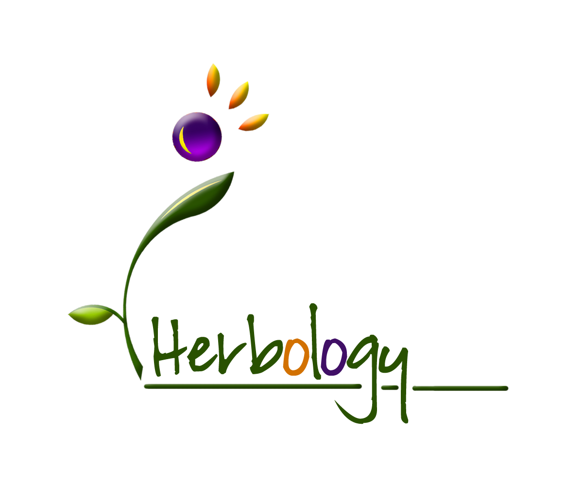 Logo Design by E.Dorranipour for this project | Design #10714245