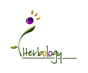 Logo Design by E.Dorranipour for this project | Design: #10714245
