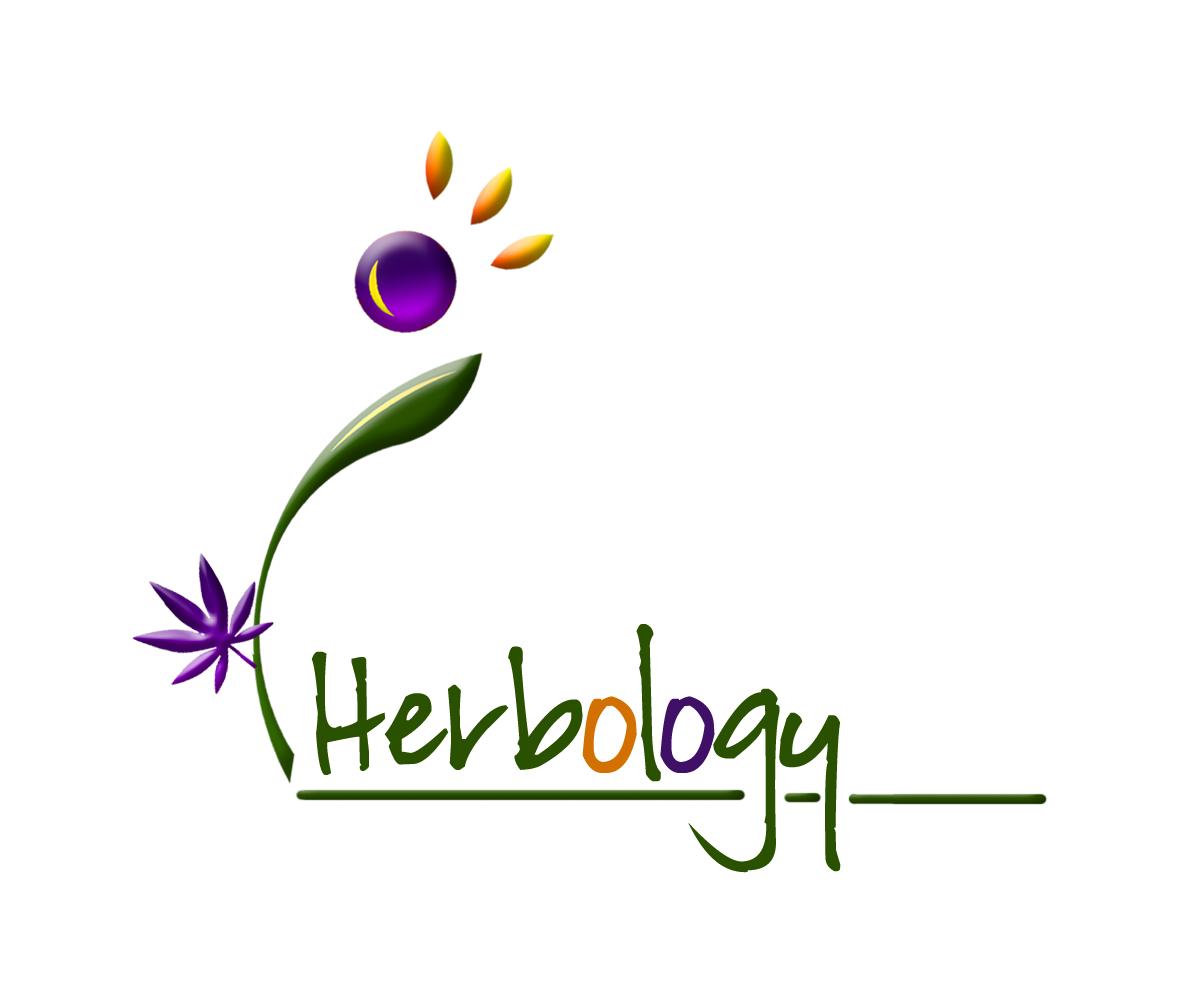 Logo Design by E.Dorranipour for this project | Design #10725732
