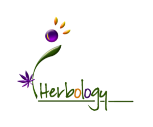 Logo Design by E.Dorranipour for this project | Design: #10725732