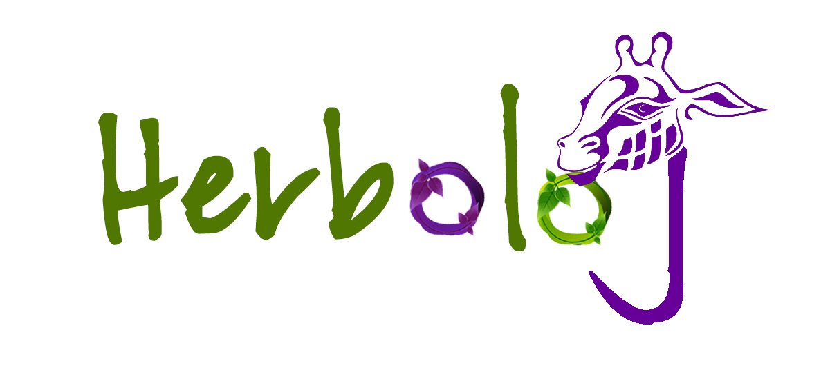 Logo Design by E.Dorranipour for this project | Design #10739434