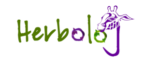 Logo Design by E.Dorranipour for this project | Design: #10739434