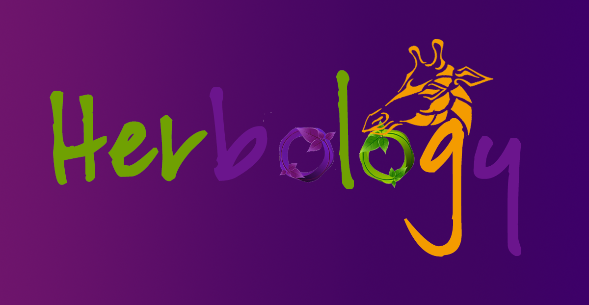 Logo Design by E.Dorranipour for this project | Design #10739774