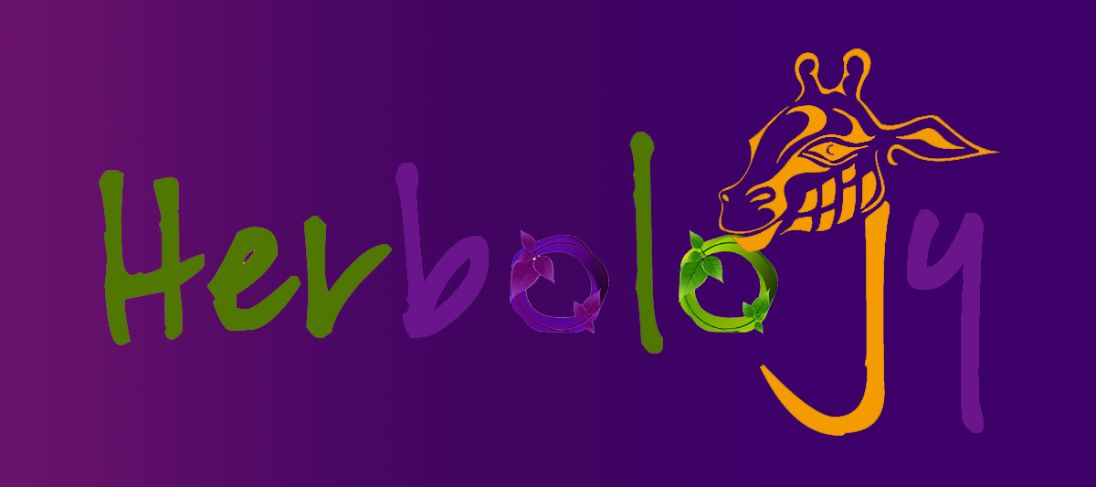 Logo Design by E.Dorranipour for this project | Design #10739849