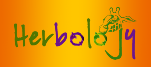 Logo Design by E.Dorranipour for this project | Design: #10739851