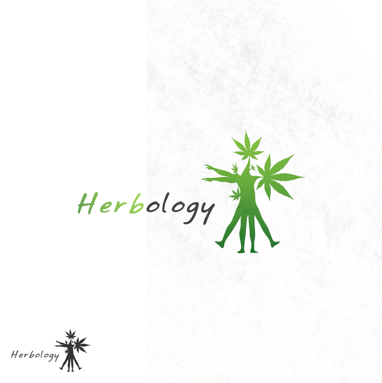 Logo Design by dumieucosdesign for this project | Design #10694708