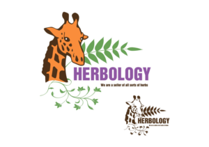 Logo Design by Eugeniy Sosunov