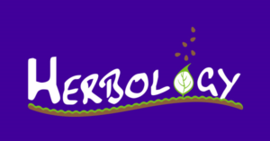 Logo Design by kmnsgrafix