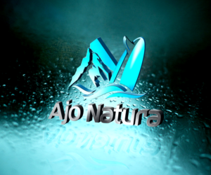 Logo Design by taufik_alrahman for this project | Design #10857650