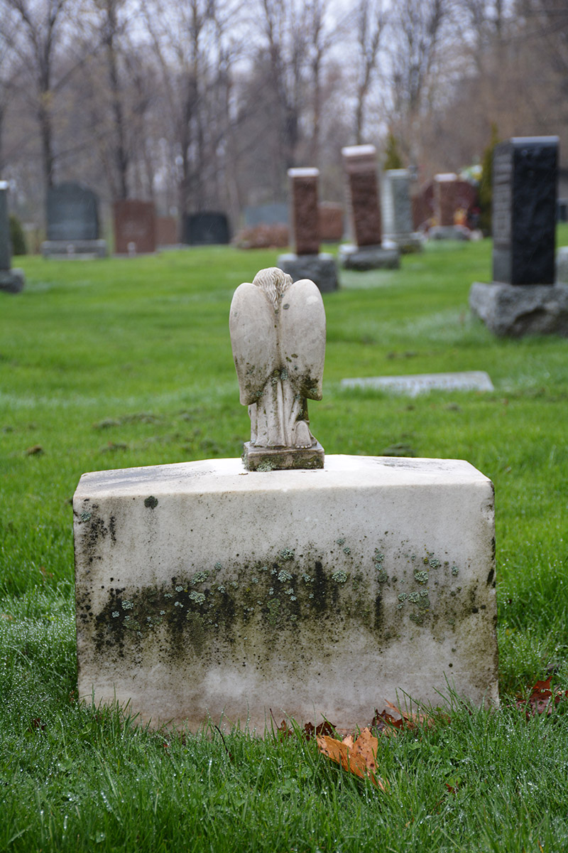 Photography by UltraMark Designs for DesignCrowd (Community Contests) | Design #10762221