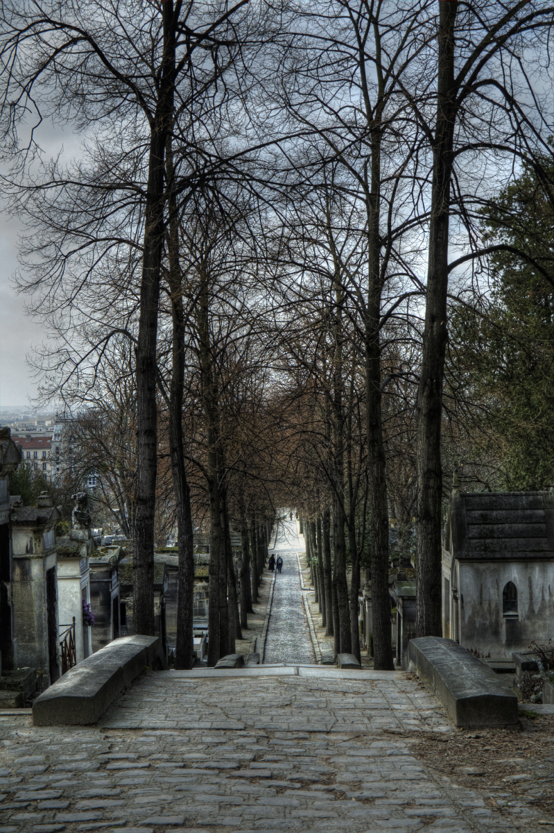 Photography by Manatee for DesignCrowd (Community Contests) | Design #10699607