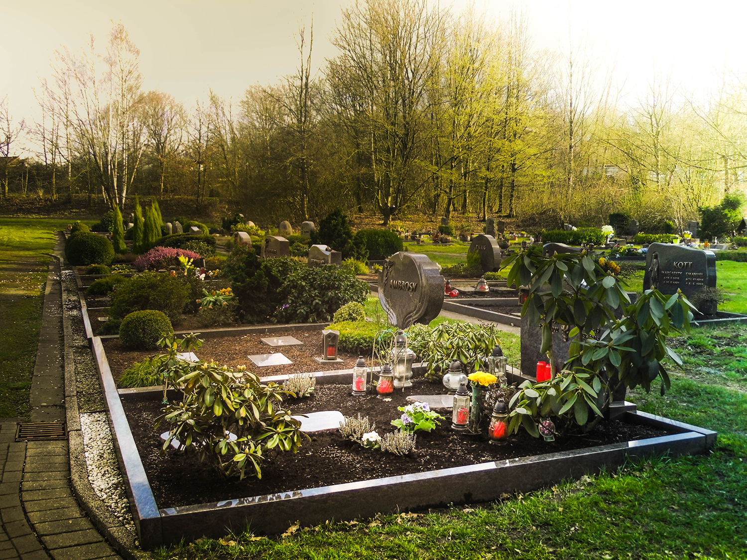 Fotografía por Bassam Saleh para DesignCrowd (Community Contests) | Diseño #10711869