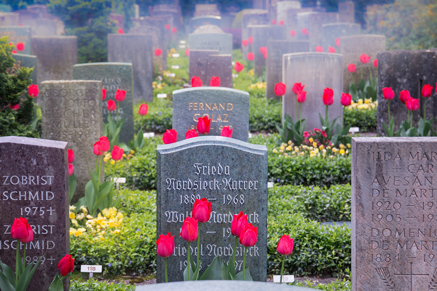 Photography by Arieli Elcharar for DesignCrowd (Community Contests) | Design #10737036