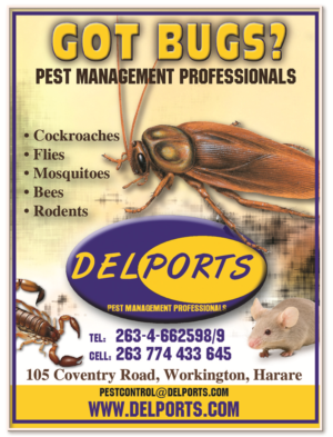 Flyer Design by Living Local / AdSmart