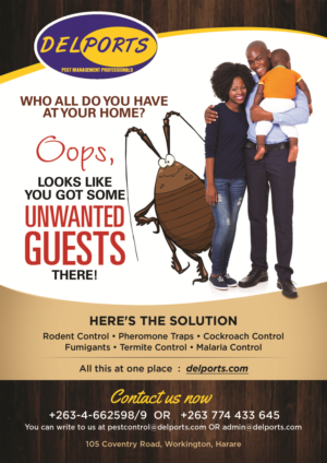 Flyer Design by palak 3