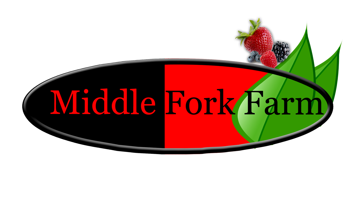 Logo Design by lakmal jayathilaka for this project | Design #2259123