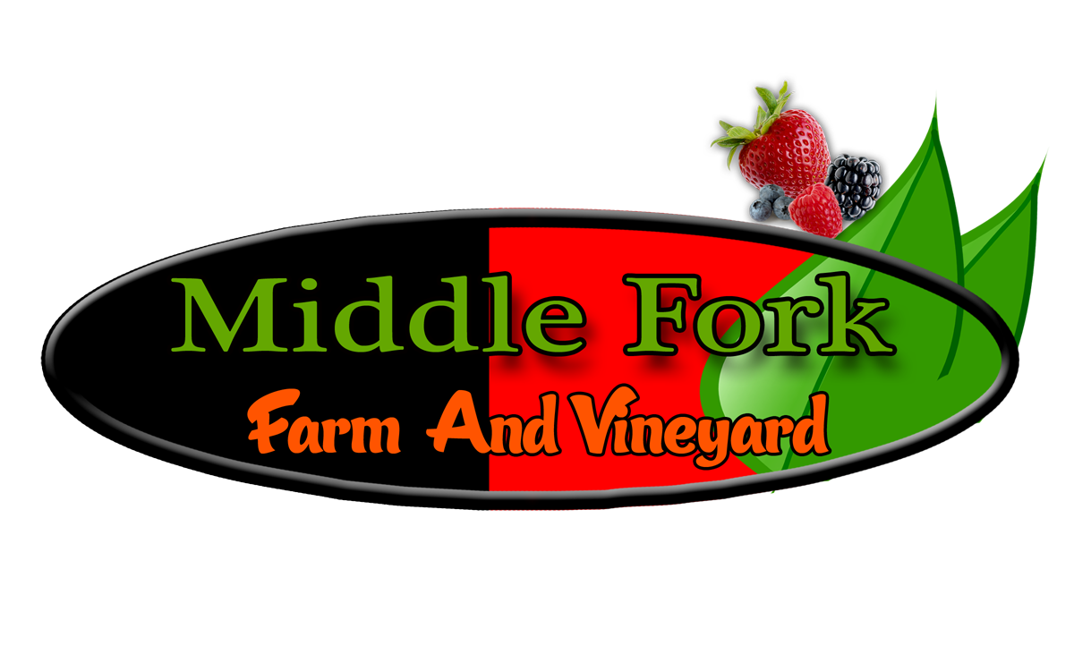 Logo Design by lakmal jayathilaka for this project | Design #2259409