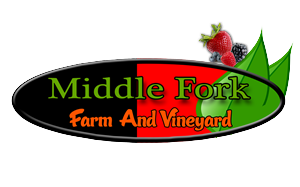 Diseño de Logo por lakmal jayathilaka para este proyecto | Diseño: #2259409