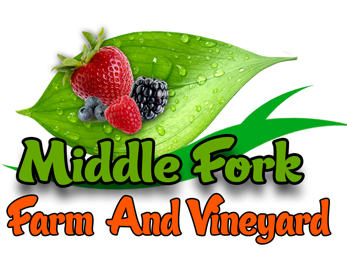 Logo Design by lakmal jayathilaka for this project | Design #2259426