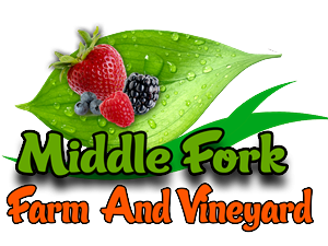 Diseño de Logo por lakmal jayathilaka para este proyecto | Diseño: #2259426