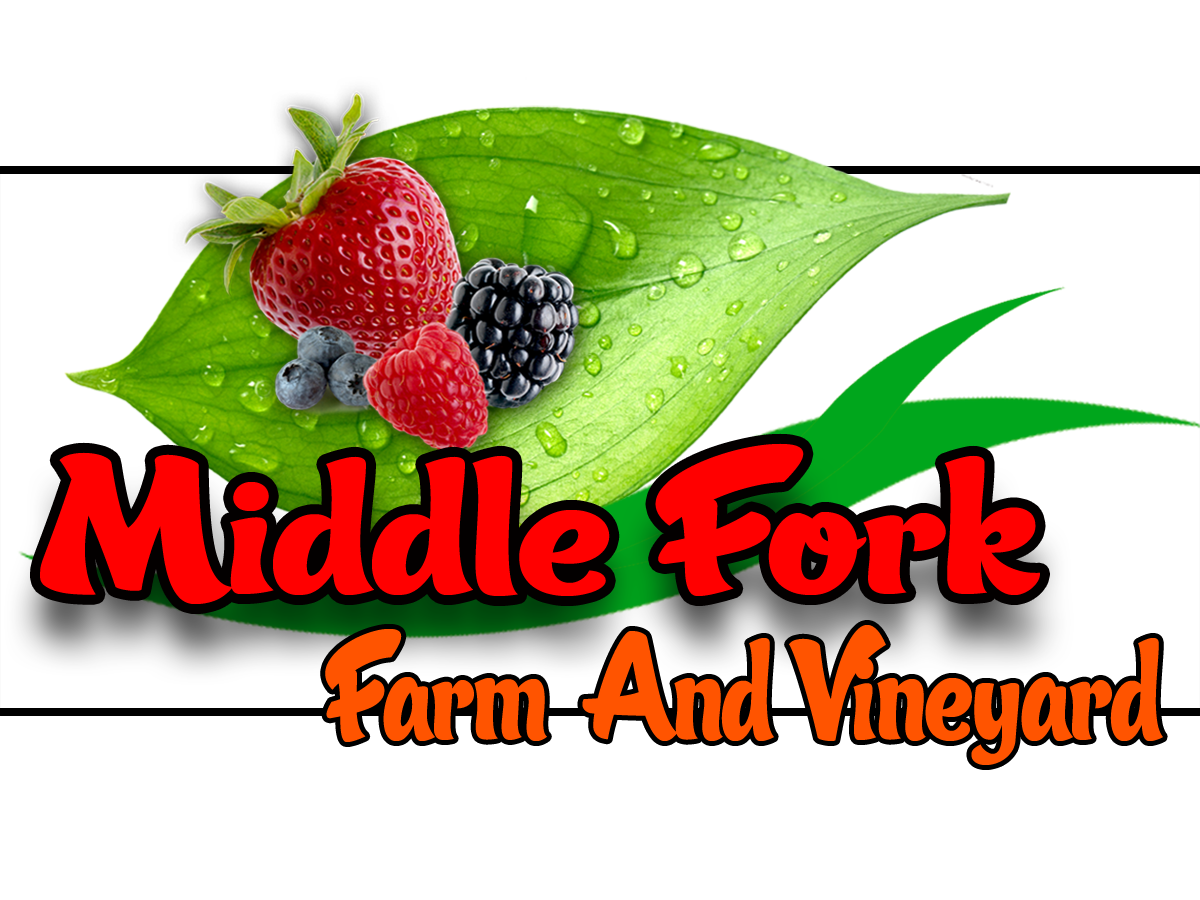 Logo-Design von lakmal jayathilaka für dieses Projekt | Design #2259464