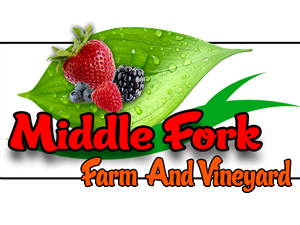 Logo-Design von lakmal jayathilaka für dieses Projekt | Design: #2259464