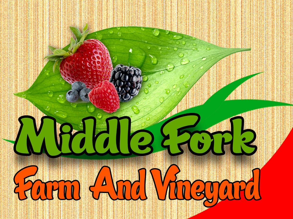 Logo-Design von lakmal jayathilaka für dieses Projekt | Design #2259494