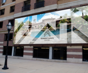 Design de Logo par Nik_Studio_Geo pour The Waln Team | Design : #10731439