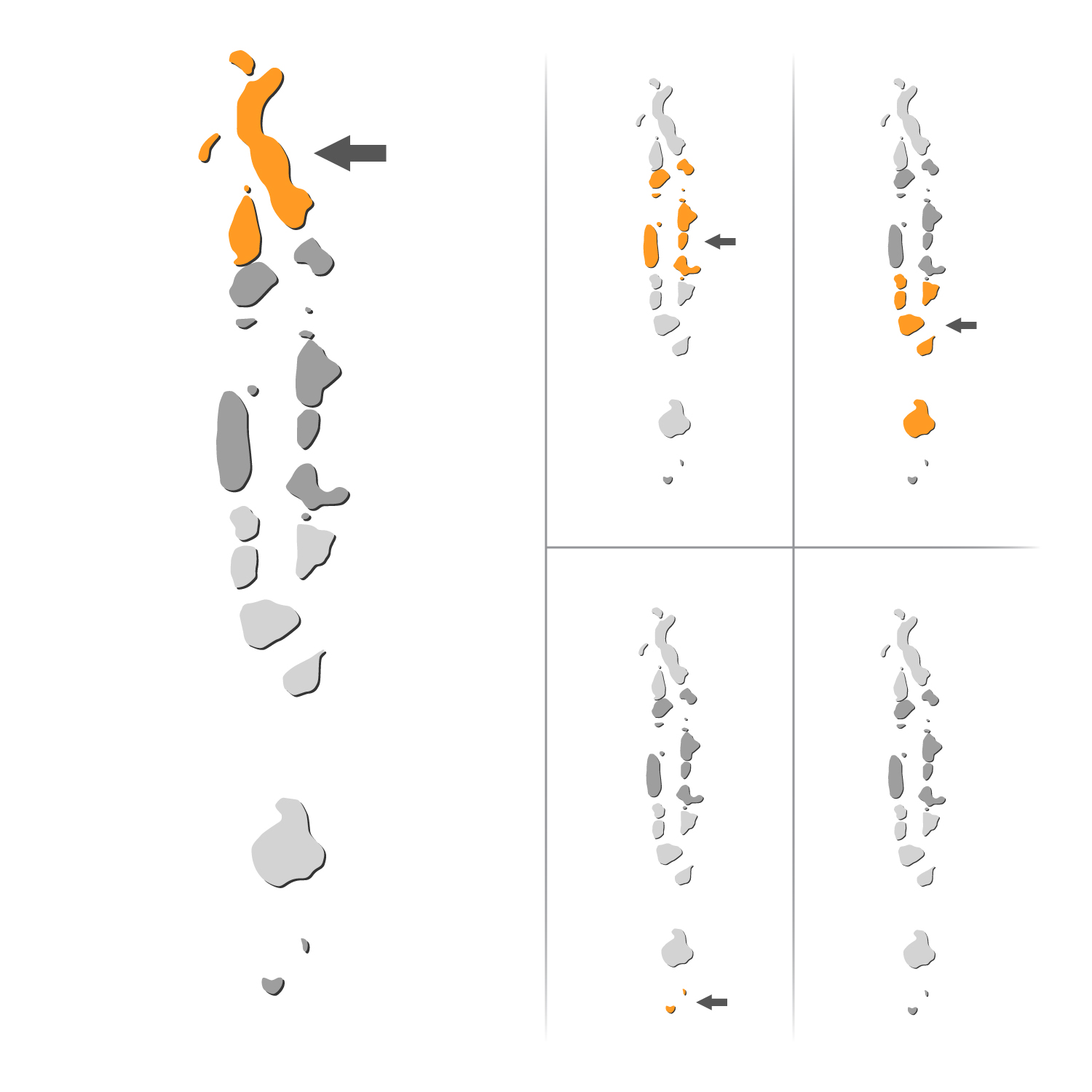 Illustration Design by aedren for DSI - Développement Solutions Informatiques | Design #10771939